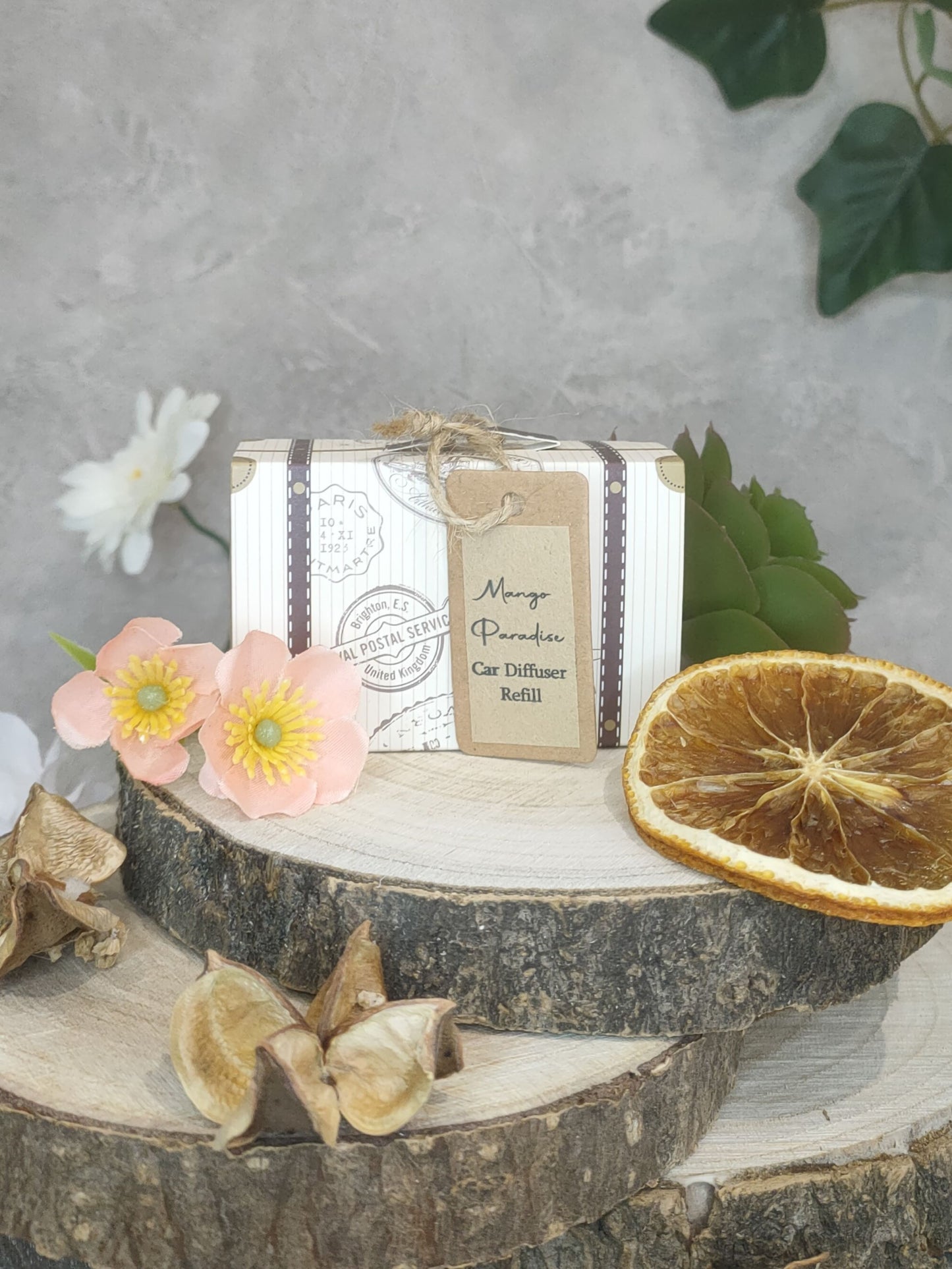 Car Diffuser Refill - Mango Paradise